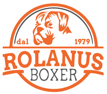 Allevamento boxer del Rolanus